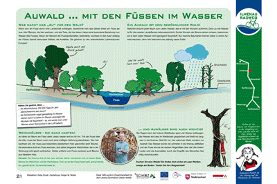Tafeln am Ilmenau Radweg