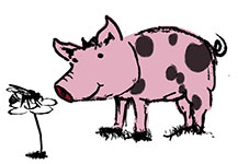 schwein und biene